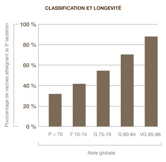 Longevité